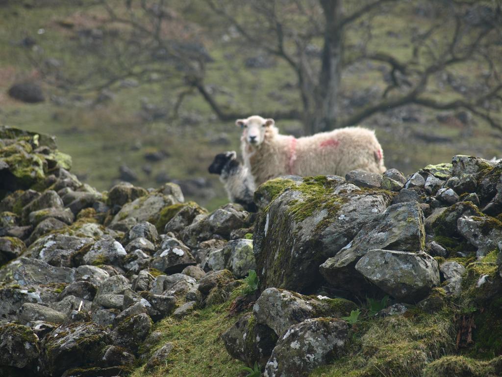 Barn-Gill House Bed and Breakfast Thirlmere Buitenkant foto